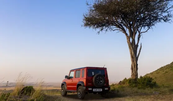 Las Mejores Rutas Nacionales para Viajar en Carretera